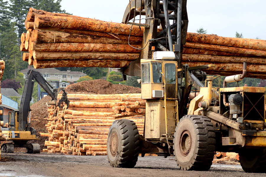 sawmill